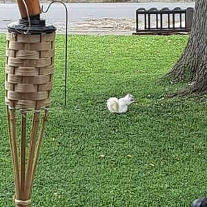 Meet your Posher, Anne